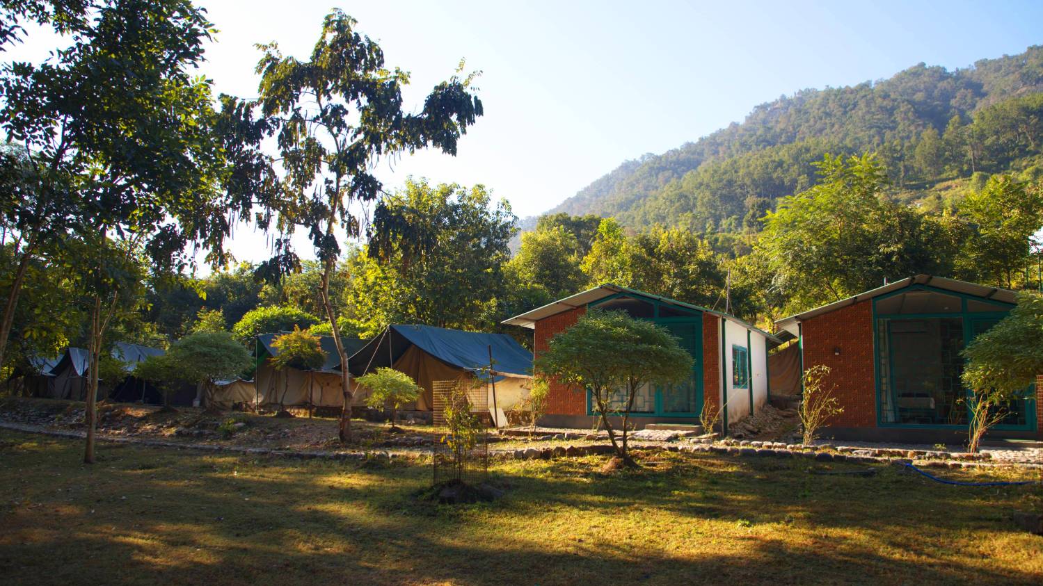 riverside camps in Rishikesh