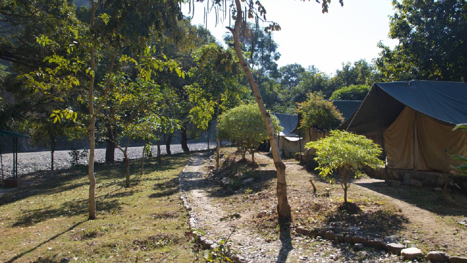 best camps in Rishikesh for family